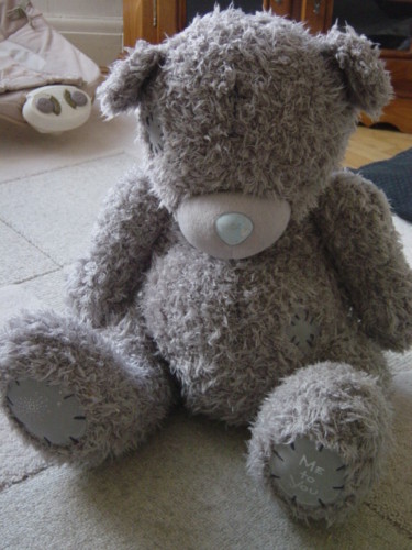 Плюшевые мишки Тедди (Teddy, MetoYou)!
